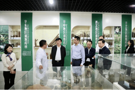 交流互鉴共促发展 南京中医药大学党委书记程纯一行来校调研中医学与中药学服务质量提升
