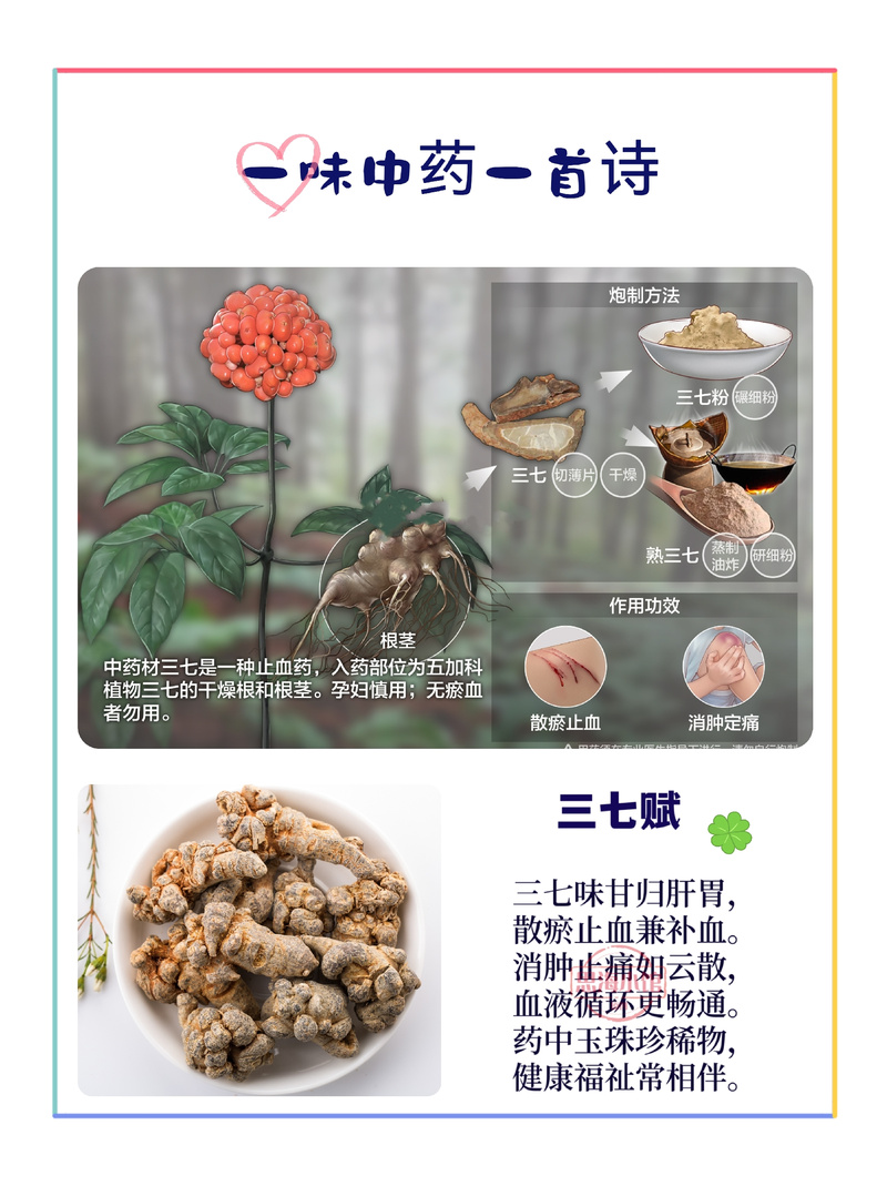 三七 一味中药一首诗，活血化瘀的南国神草